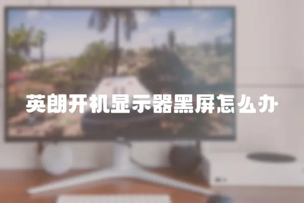 英朗開機顯示器黑屏怎么辦