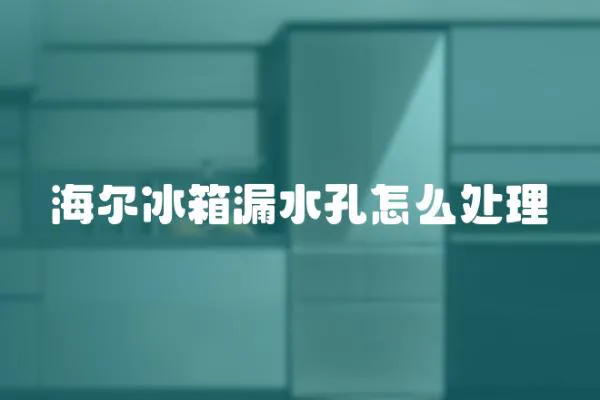 海爾冰箱漏水孔怎么處理
