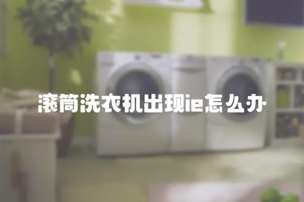 滾筒洗衣機出現ie怎么辦