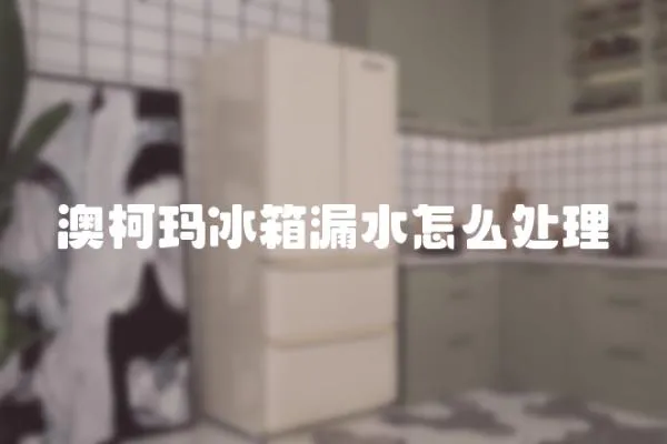 澳柯瑪冰箱漏水怎么處理