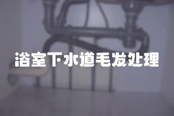浴室下水道毛發處理