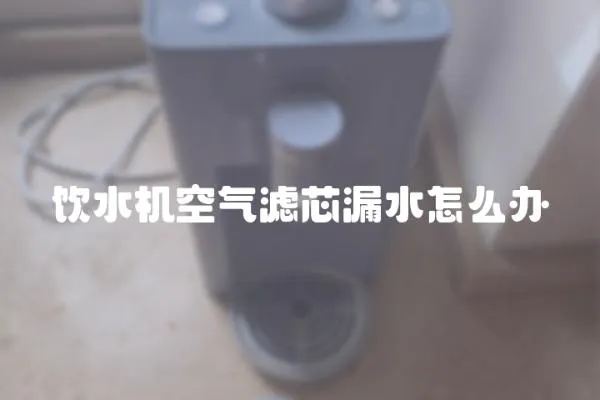 飲水機(jī)空氣濾芯漏水怎么辦