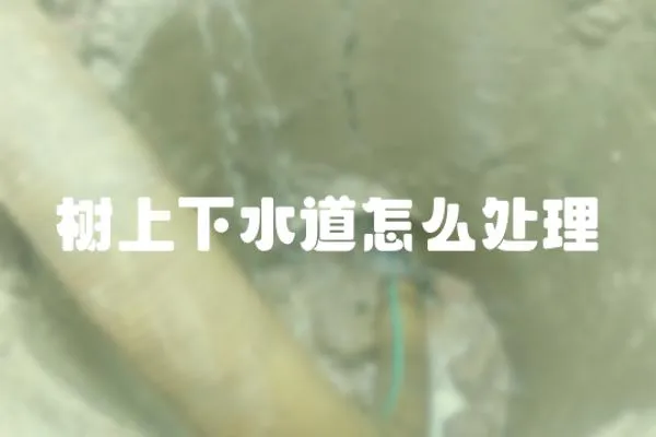 樹上下水道怎么處理