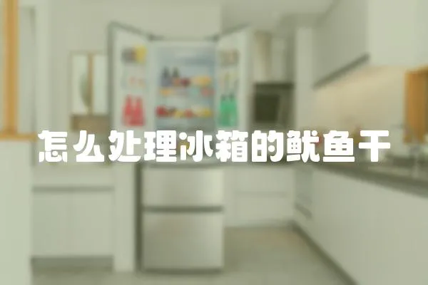 怎么處理冰箱的魷魚干