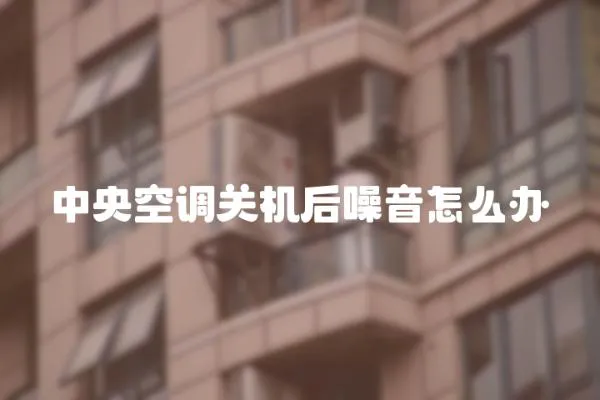 中央空調(diào)關(guān)機(jī)后噪音怎么辦