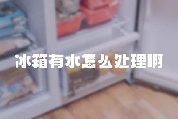 冰箱有水怎么處理啊