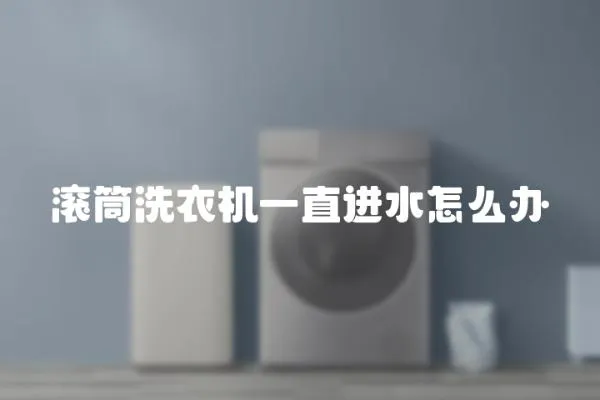 滾筒洗衣機一直進水怎么辦
