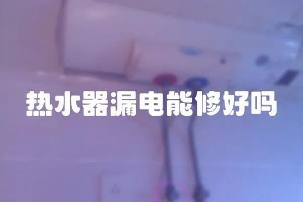 熱水器漏電能修好嗎