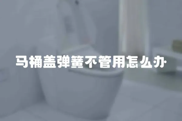 馬桶蓋彈簧不管用怎么辦