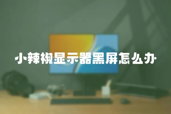 小辣椒顯示器黑屏怎么辦