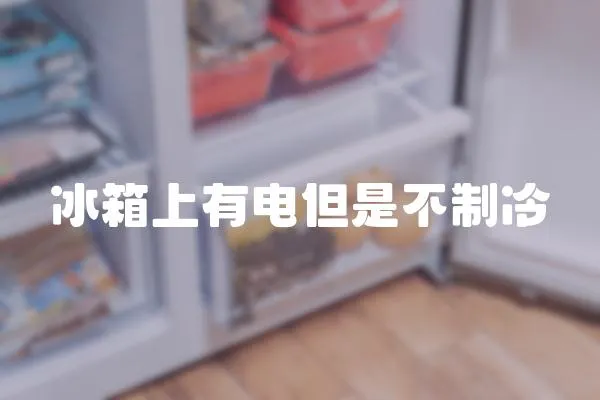 冰箱上有電但是不制冷
