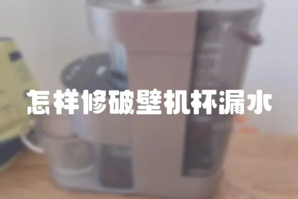 怎樣修破壁機杯漏水