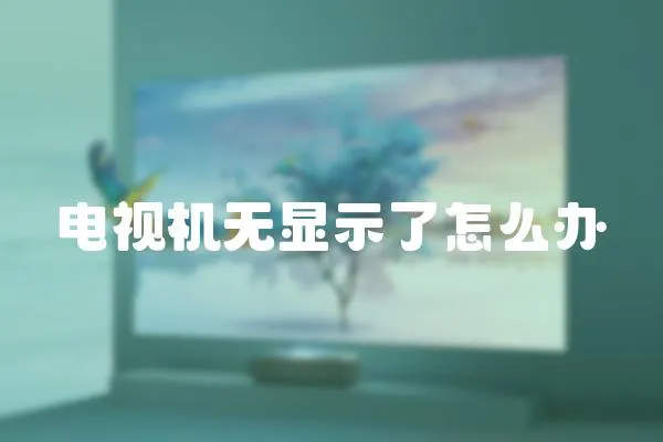 電視機無顯示了怎么辦