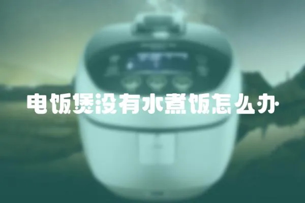 電飯煲沒有水煮飯怎么辦