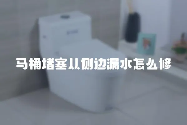 馬桶堵塞從側(cè)邊漏水怎么修