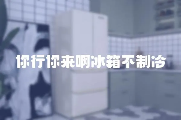 你行你來啊冰箱不制冷