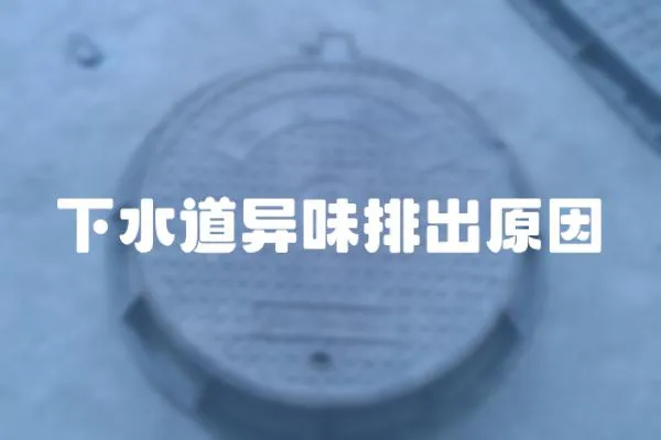 下水道異味排出原因