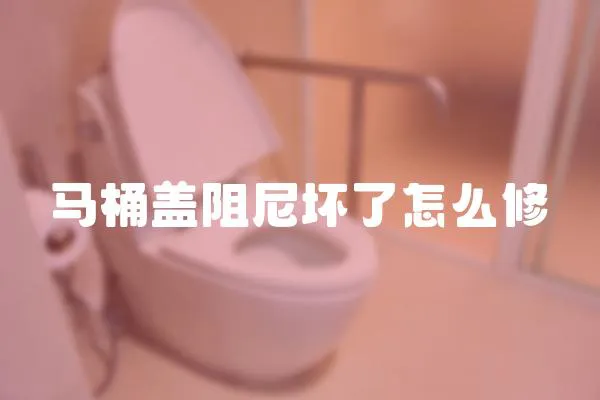 馬桶蓋阻尼壞了怎么修