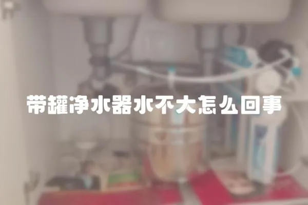 帶罐凈水器水不大怎么回事