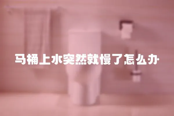 馬桶上水突然就慢了怎么辦