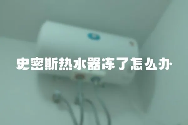 史密斯熱水器凍了怎么辦