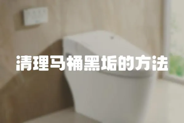 清理馬桶黑垢的方法