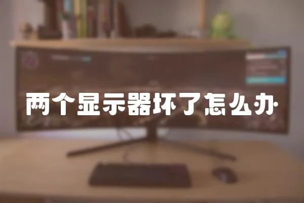 兩個顯示器壞了怎么辦