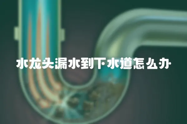 水龍頭漏水到下水道怎么辦