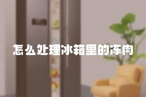 怎么處理冰箱里的凍肉