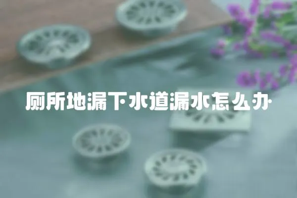 廁所地漏下水道漏水怎么辦