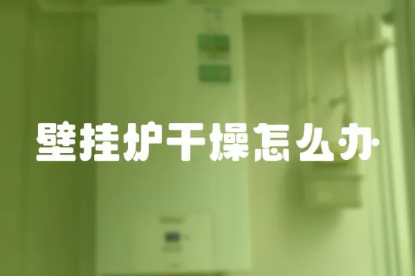 壁掛爐干燥怎么辦