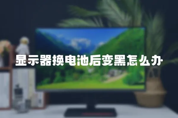 顯示器換電池后變黑怎么辦