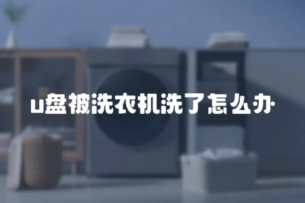 u盤被洗衣機洗了怎么辦
