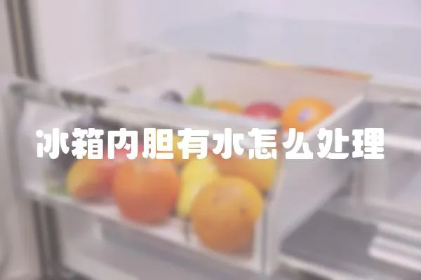 冰箱內(nèi)膽有水怎么處理