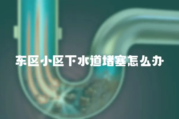 東區(qū)小區(qū)下水道堵塞怎么辦