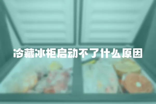 冷藏冰柜啟動不了什么原因