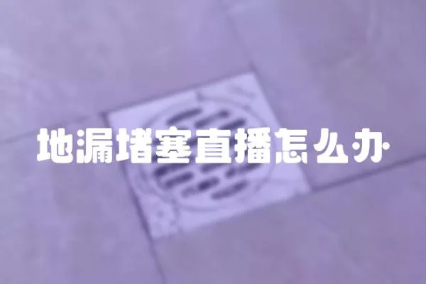 地漏堵塞直播怎么辦