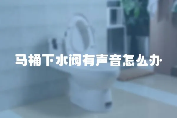 馬桶下水閥有聲音怎么辦