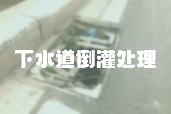 下水道倒灌處理