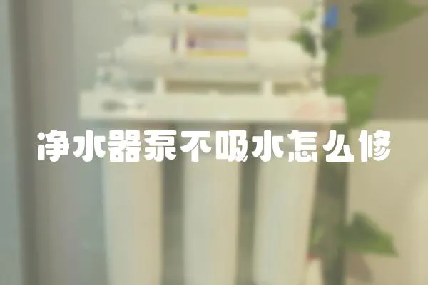 凈水器泵不吸水怎么修