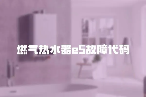 燃?xì)鉄崴鱡5故障代碼