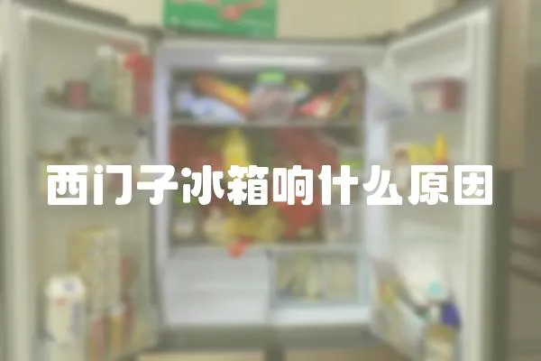 西門子冰箱響什么原因