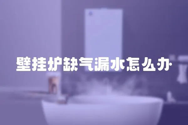 壁掛爐缺氣漏水怎么辦