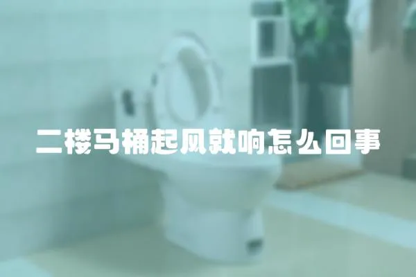 二樓馬桶起風就響怎么回事
