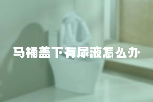 馬桶蓋下有尿液怎么辦