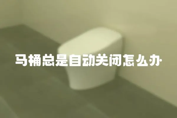 馬桶總是自動關閉怎么辦