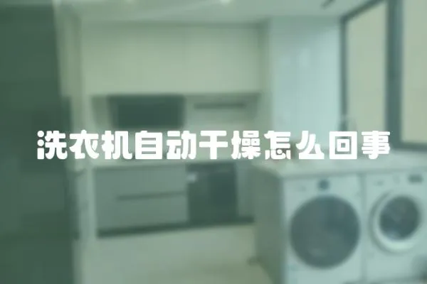 洗衣機自動干燥怎么回事