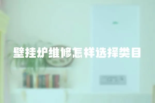 壁掛爐維修怎樣選擇類目