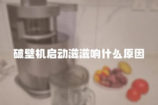 破壁機(jī)啟動(dòng)滋滋響什么原因