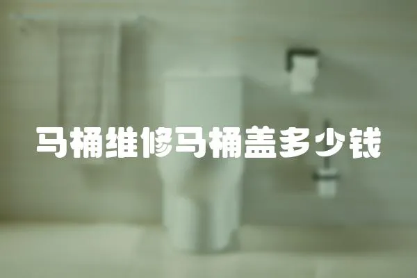 馬桶維修馬桶蓋多少錢